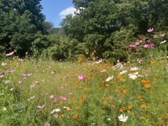 03_iphoneXS_IMG_0094