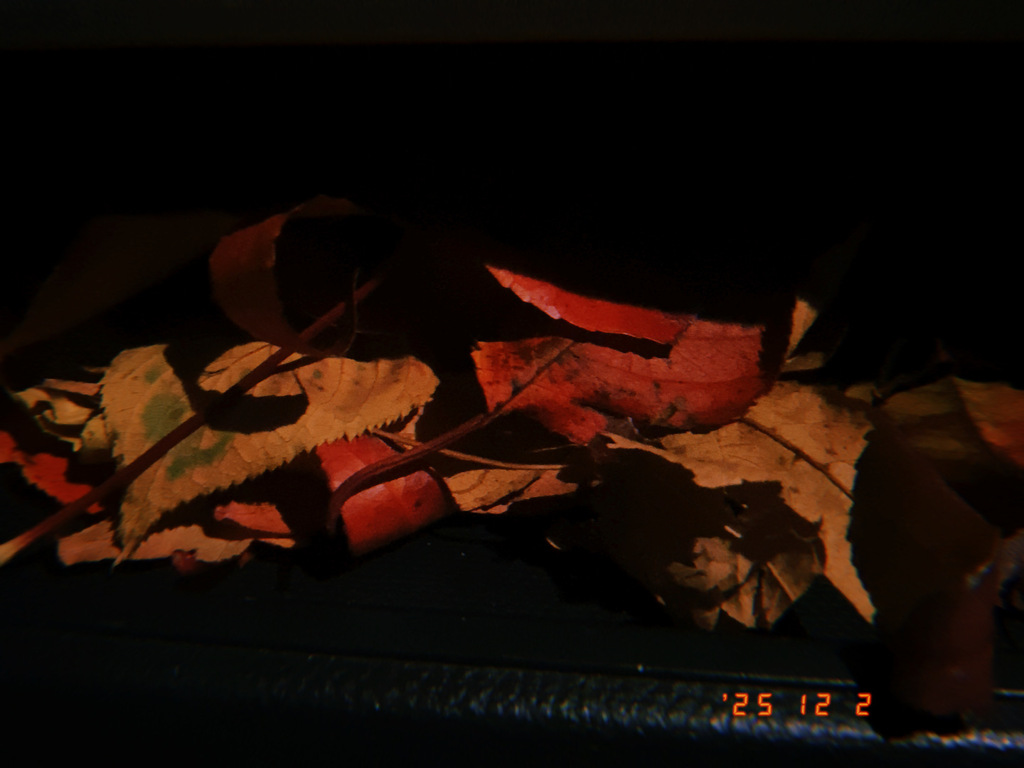 この世に無駄な物は無い ある意味では