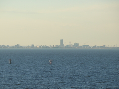 美浦村から土浦市を望む