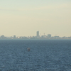 美浦村から土浦市を望む