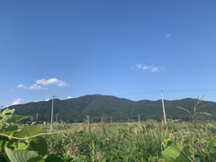 44_iphoneXS_IMG_0152