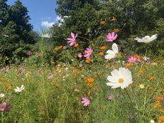 12_iphoneXS_IMG_0123