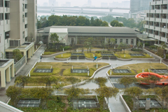 キャッチボール