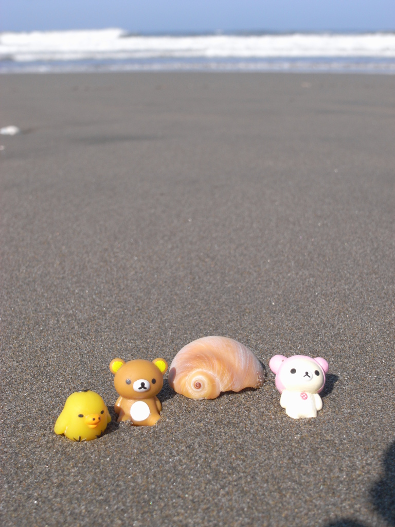 夏だ 海だ　波だ