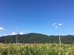 44_iphoner6s_IMG_8337