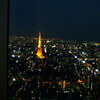 2004年の六本木　六本木ヒルズ森タワーからの東京タワーの眺め　DSCF4286