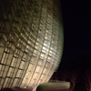 ガラスの曲面建築　国立新美術館　2007