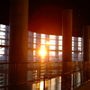 東京の西日 2007　国立新美術館