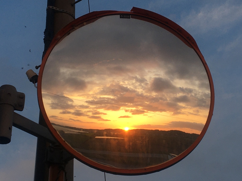 夕日　春の戯れ