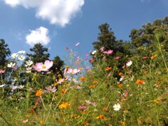 07_s4kc_IMG_20220930_140241