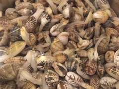 みんなのびのび