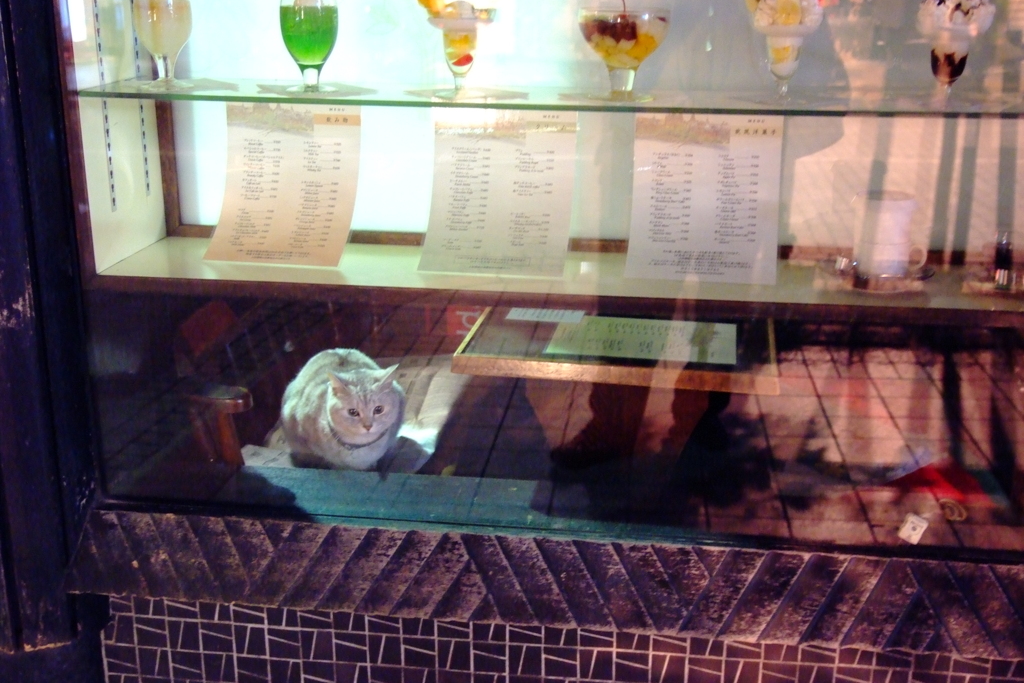 いつかのショーウィンドウ