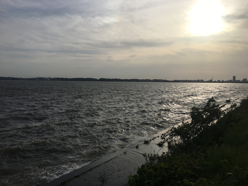 いつぞやの湖畔　霞ヶ浦