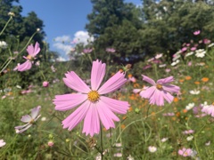 17_iphoneXS_IMG_0110