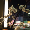 梅のある夜景 2007 Tokyo Asakusa