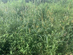 47_iphoneXS_IMG_0146