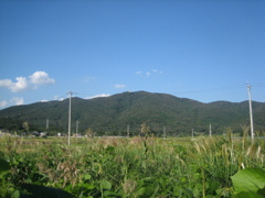 44_Canon IXY DIGITAL 55_IMG_1680