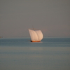 霞ヶ浦の帆引き船