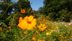 26_f03h_IMG_19700101_120719