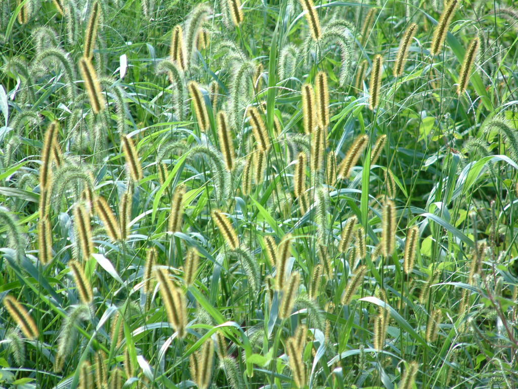 47_s602_DSCF0018