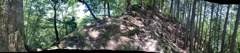 三峯神社 三峰神社  秩父 奥宮 登山道の森林 パノラマ