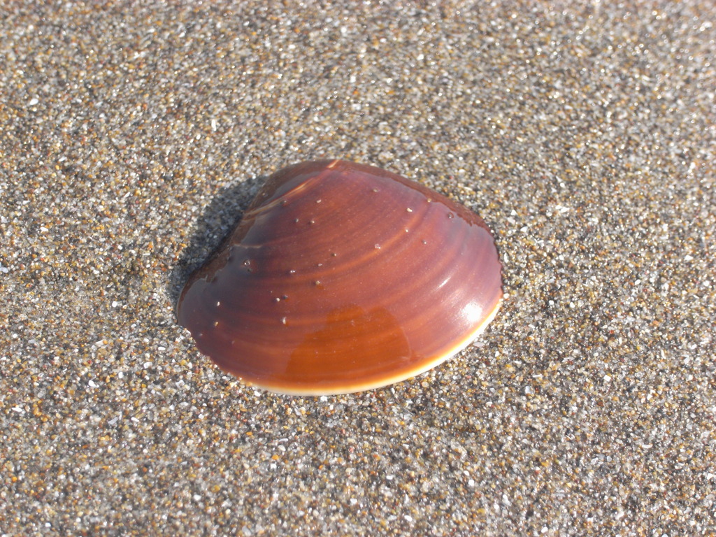 R0012018