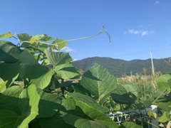 43_iphoneXS_IMG_0149