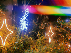 電飾いるみねいしょん