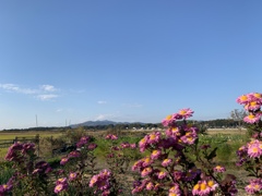 秋の通り道