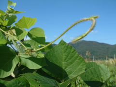 46_s602_DSCF0027 (2)