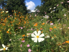 13_iphoner6s_IMG_8270