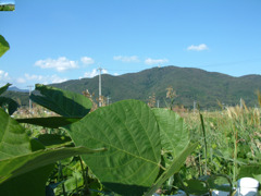 43_s602_DSCF0021 (2)