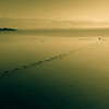 A so Be (湖岸夕景図-4)