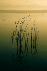 A so Be (湖岸夕景図-2)