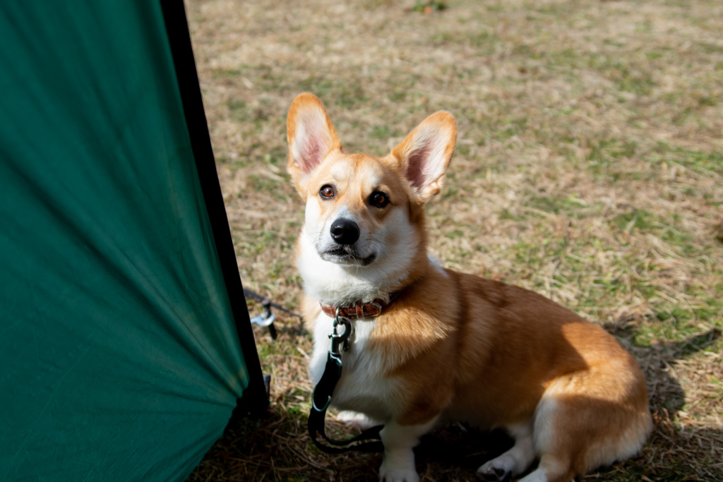 Camping