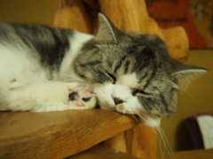 眠い