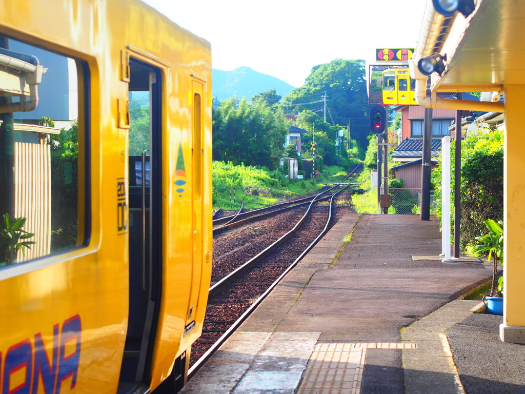 ディーゼルで動いてる黄色い電車