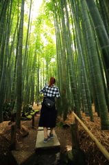 竹林小旅行