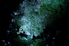 IMG_3671