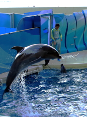 IMG_9837#2