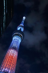凛と佇むスカイツリー