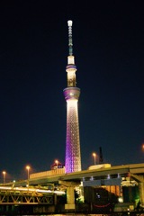 Sky tree