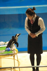 お　も　て　な　し