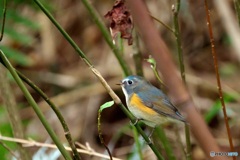 DSC00067