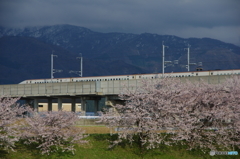 北陸新幹線　上り先頭車両