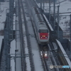 小雪舞う中を・・１