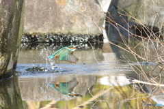 水鏡