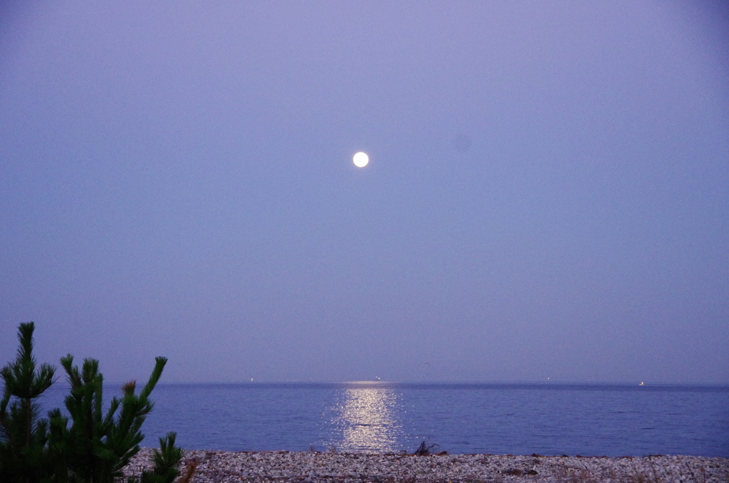 十六夜