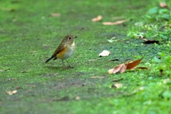 DSC00308