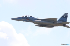 アグレッサー?  F15